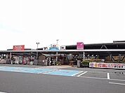 【ホームセンター】カンセキ大田原南店まで480ｍ