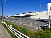 【ドラッグストア】カワチ薬品足利西店まで1600ｍ