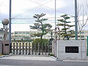 【小学校】愛西市立　佐屋小学校まで1100ｍ