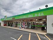 【ドラッグストア】ジップドラッグ白子店まで550ｍ