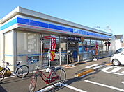 【コンビニエンスストア】ローソン平塚南金目店まで1093ｍ