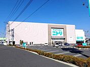 【ホームセンター】ニトリ桶川店まで420ｍ
