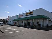 【ドラッグストア】スギ薬局長島店まで270ｍ