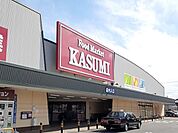 【スーパー】カスミ 常陸太田店まで800ｍ