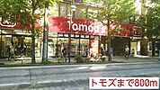 【ドラッグストア】トモズまで800ｍ
