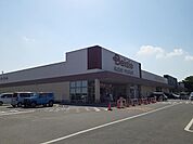 【スーパー】ベイシア常滑インター店まで470ｍ