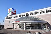【ショッピングセンター】イトーヨーカドー知多店まで1500ｍ