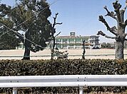 【小学校】南部小学校まで715ｍ