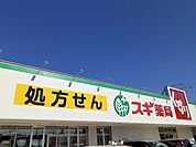【ドラッグストア】スギドラッグ　岩倉東店まで772ｍ