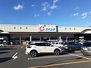 【ドラッグストア】カワチ薬品今市店まで500ｍ