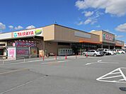 【スーパー】エコスTAIRAYA上三川店まで2200ｍ