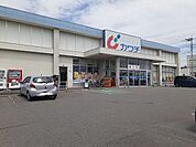 【ドラッグストア】カワチ薬品まで650ｍ
