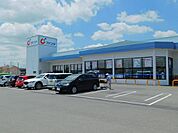 【ドラッグストア】カワチ薬品まで550ｍ