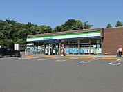 【コンビニエンスストア】ファミリーマート久下田店まで716ｍ