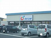 【ドラッグストア】カワチまで900ｍ