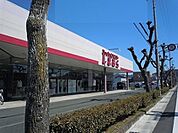 ファッションセンターしまむらまで1100ｍ