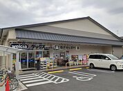 【ドラッグストア】ダックス 西京樫原店まで600ｍ