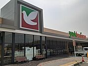 【スーパー】ヨークベニマル友部東平店まで1000ｍ