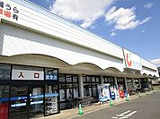 【ドラッグストア】カワチ薬品渡里店まで1000ｍ