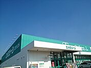 【スーパー】エバーグリーンプラス様まで700ｍ