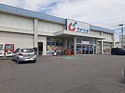 【ドラッグストア】カワチ薬品岡本店まで1800ｍ