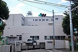 [周辺] 【小学校】横浜市立葛野小学校まで170ｍ