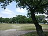 周辺：【公園】春見公園まで50ｍ