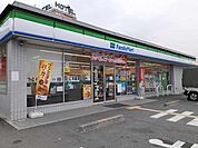 【コンビニエンスストア】ファミリーマート様まで491ｍ
