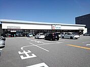 【ドラッグストア】カワチ薬品甲府中央店まで1300ｍ