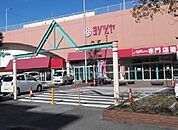 【ショッピングセンター】ヨシヅヤまで300ｍ