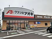 【ドラッグストア】クスリのアオキ河東中島店まで1200ｍ