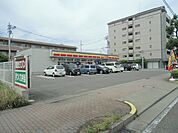 【コンビニエンスストア】デイリーヤマザキ　赤城町店まで271ｍ