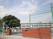 【小学校】作野小学校まで305ｍ