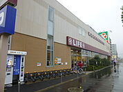 【スーパー】ライフ六町駅前店まで513ｍ