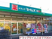 【ドラッグストア】セイムス愛川町店まで700ｍ