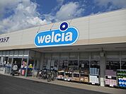 【ドラッグストア】ウエルシア木更津高柳店まで2100ｍ