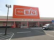【スーパー】ザ・ビッグ輪之内店まで450ｍ