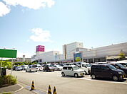 【スーパー】イオン清水店まで562ｍ