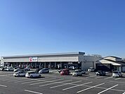 【ドラッグストア】カワチ薬品 土浦南店まで1450ｍ