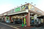 【スーパー】コープまで260ｍ