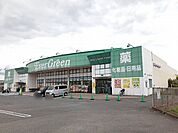 【ドラッグストア】エバグリーン様まで157ｍ