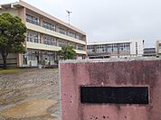 【小学校】茂原市立中の島小学校まで1100ｍ