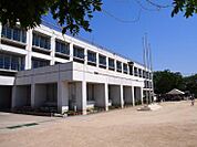 【小学校】野田市立関宿中央小学校まで716ｍ