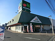【スーパー】マルエツ春日部緑町店まで517ｍ