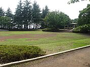 【公園】新石川公園まで596ｍ