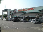 【スーパー】サンユーまで500ｍ