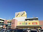 【ショッピングセンター】アピタ　江南西店まで1100ｍ