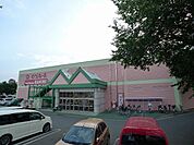 【ショッピングセンター】大間々ＳＣさくらもーるまで680ｍ