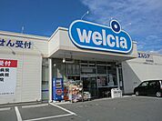 【ドラッグストア】ウエルシア渋川行幸田店まで2500ｍ