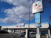 【ドラッグストア】カワチ　下館南店まで250ｍ